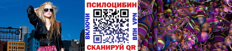 Галлюциногенные грибы Psilocybe  Купить  Верещагино 