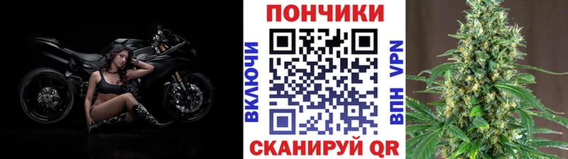 Купить где  Верещагино  Канабис VHQ 